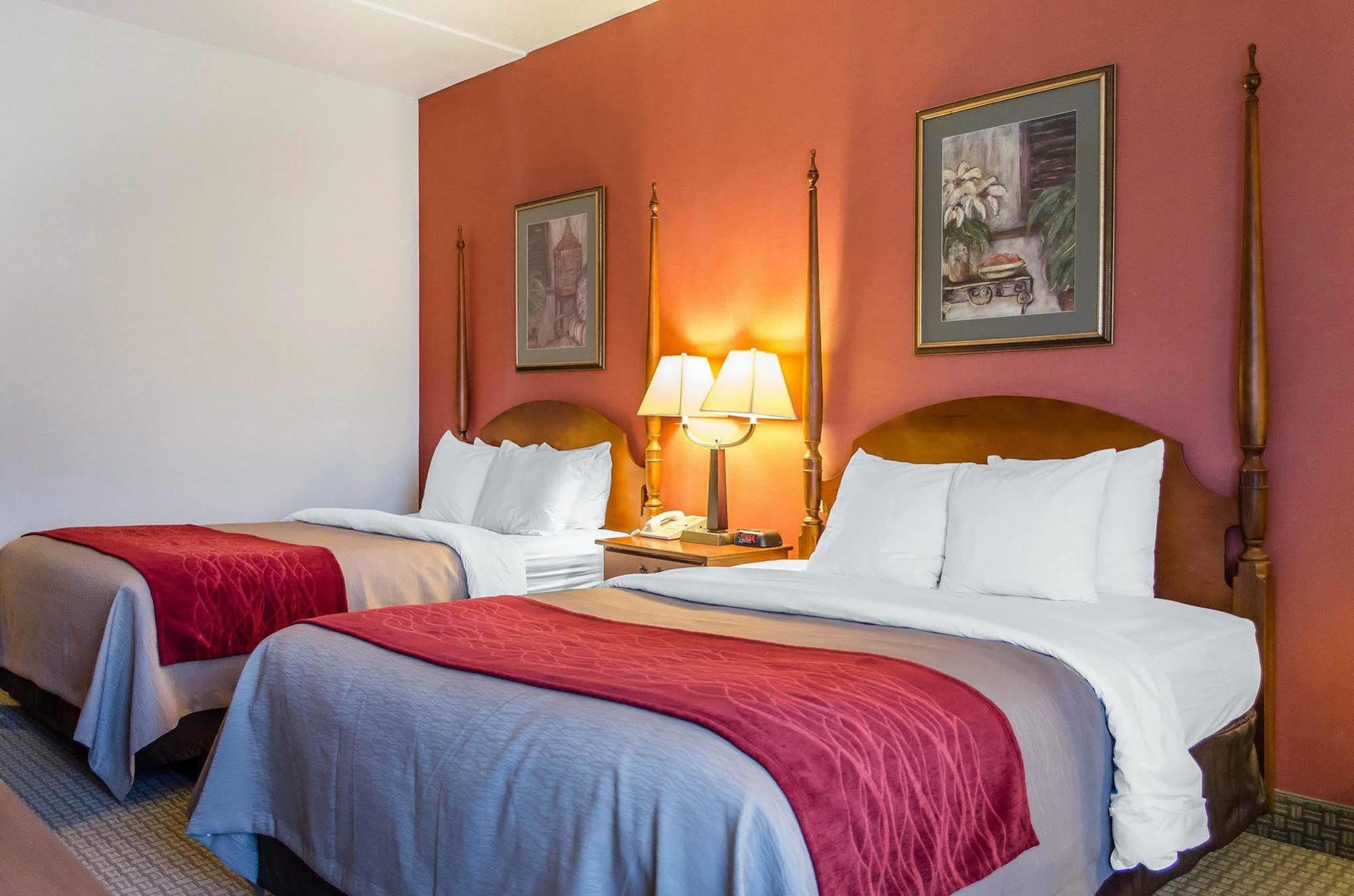 Comfort Inn & Suites York Εξωτερικό φωτογραφία